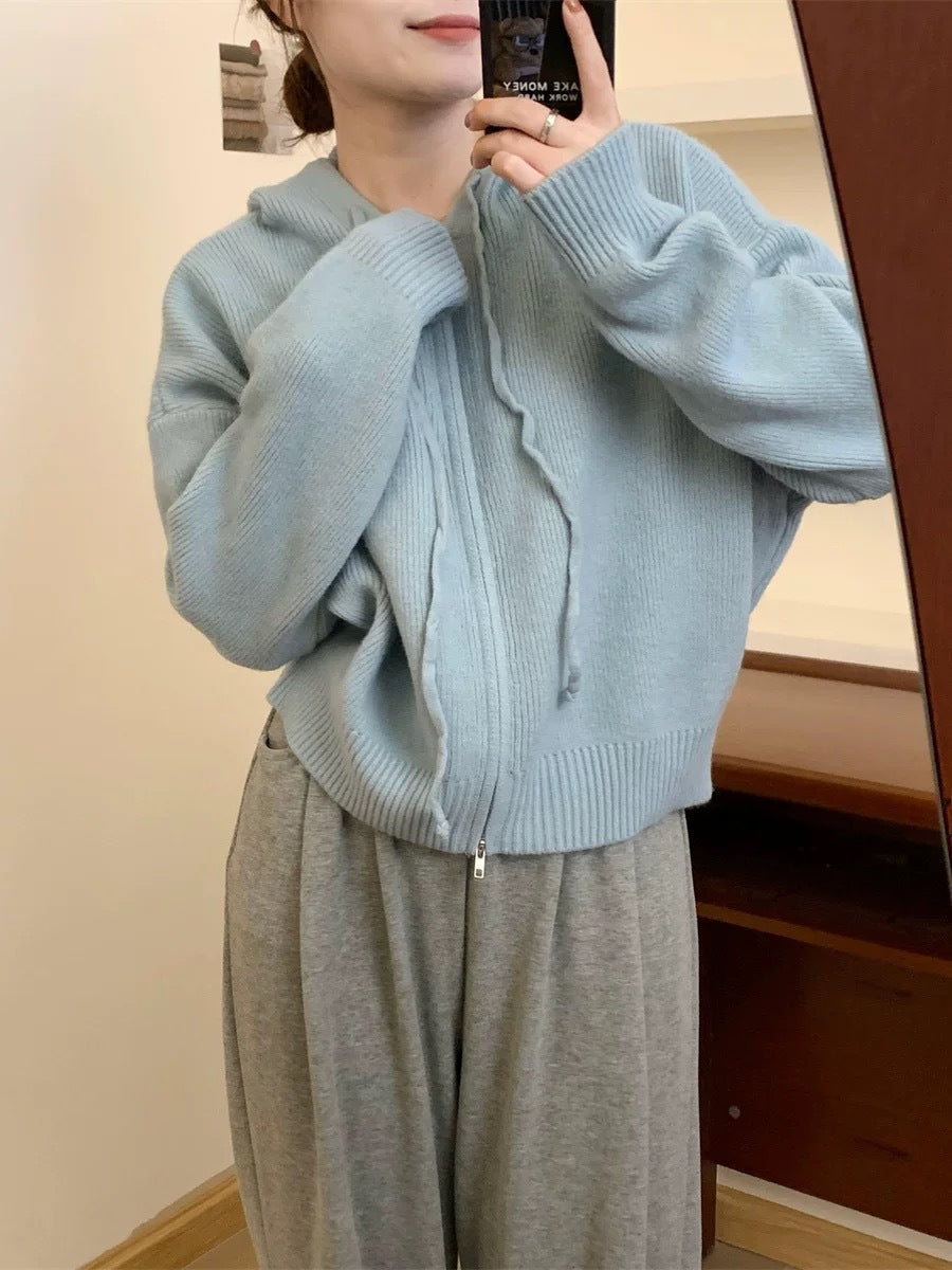 ARLENE™ – Cozy Long Sleeve Hooded Cardigan